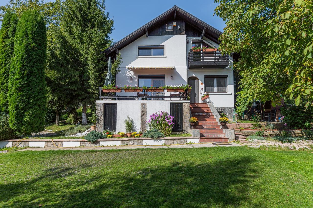 Home Alone Brasov Bagian luar foto